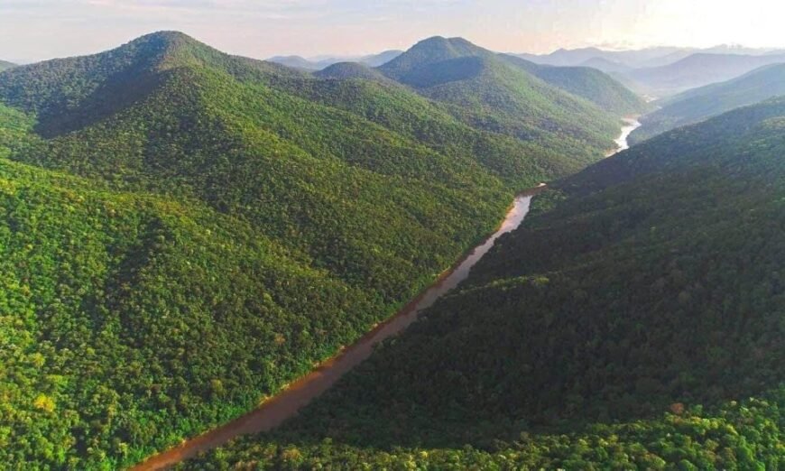 Uncover Guyana's LCDS 2030, a bold vision for a climate-resilient future. Explore strategies for sustainable development & environmental protection.