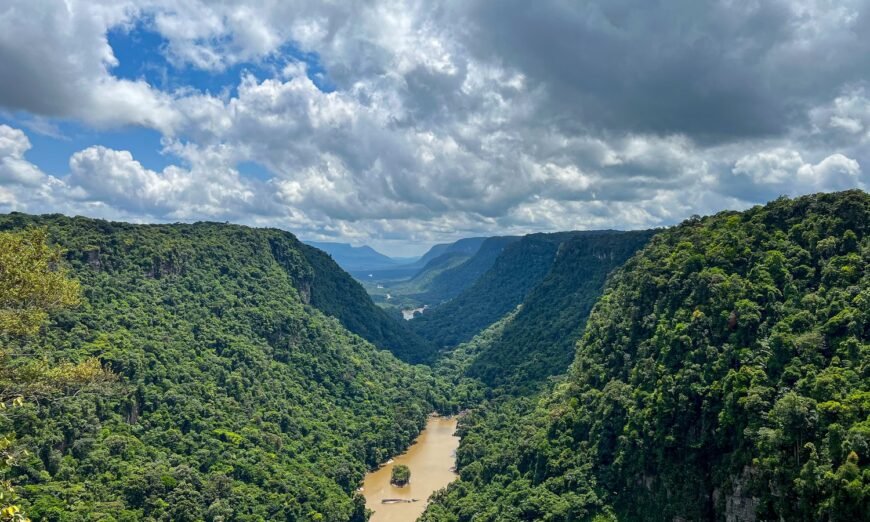 Uncover the breathtaking beauty of the Guiana Highlands, a stunning region filled with unique wildlife, rich culture, and awe-inspiring landscapes.