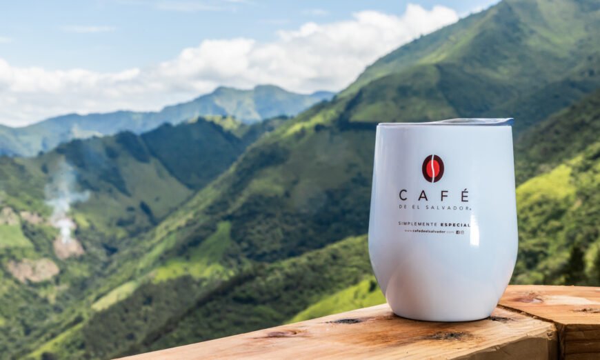 Discover the rich flavors of Pacamara, a world-class Salvadoran coffee that elevates your coffee experience. Taste the difference today!